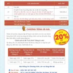 Chương Trình Bán Trú Hè Thủ Đô 2026 Từ VietTeach: Chất Lượng Chuẩn Mực – Chi Phí Trọn Gói 100%