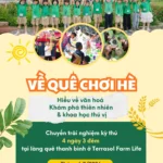 Lớp Học Khổng Lồ Giữa Thiên Nhiên: Khám Phá Trại Hè 4N3Đ “Về Quê Chơi Hè” Cho Học Sinh 8-14 Tuổi